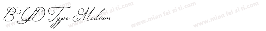 BYD Type Medium字体转换